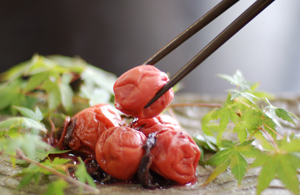 umebosi